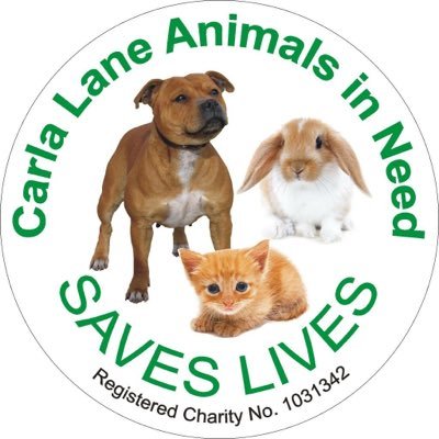 Carla Lane Animals In Need Profile