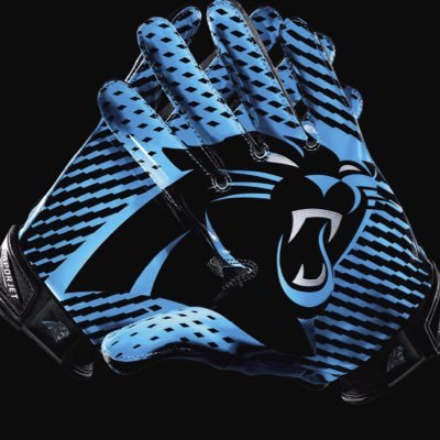 Owner of the Panthers px1 VIP madden league