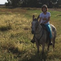 Lisa Tokach (@crazymulerider) 's Twitter Profile