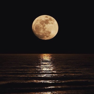 سبحان الله وبحمده سبحان الله العظيم