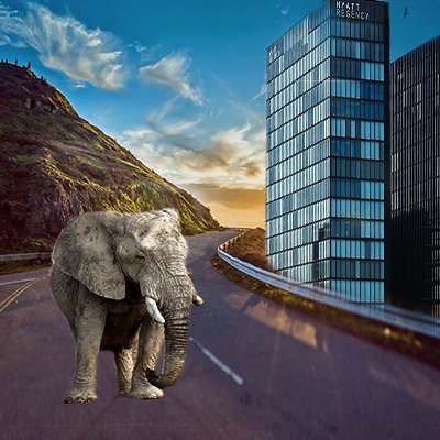 TeamMahout's profile picture. We build quality websites for quality people.