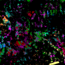 anne contant - @pantine8 - Twitter