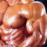 Prise de masse Musculation Bodybuilding... toutes les news TO BE HUGE !