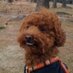 Ⓝ (@inut) Twitter profile photo Ⓝ (@inut) Twitter profile photo