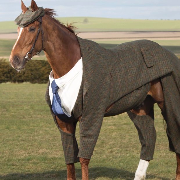 Horse in Suit