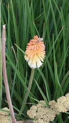 Sharon68870231's profile picture. 