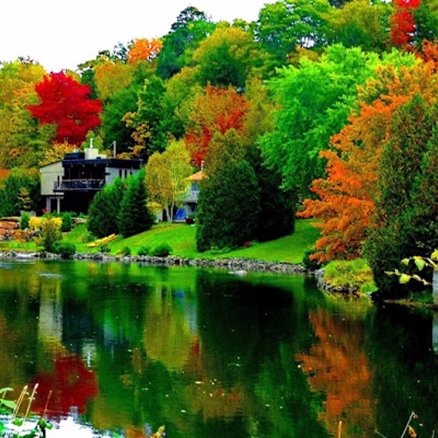 bryantaaron1981's profile picture. 