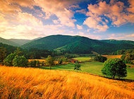 ClaxtonFarm's profile picture. Claxton Farm Events rest on a 500-acre land conservancy and working farm in the gorgeous Blue Ridge Mountains just north of Asheville.