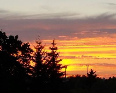 j_culbreth's profile picture. 