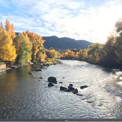 LoniBuness's profile picture. 