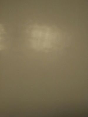 Bshah326's profile picture. 