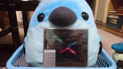 rad_reacto_boc's profile picture. ロードバイク乗ってます。アニメとマンガ大好きです。RADWIMPSとBUMPなどが大好きです。としたい参戦の方ぜひぜひフォローしてください！