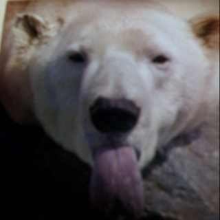 LoveDirtySluts's profile picture. 