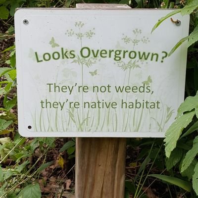 matt_pippin_law's profile picture. 