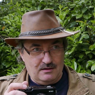 golkondryna's profile picture. Ireland