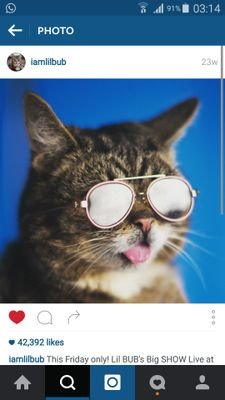 MzWardah's profile picture. | Life Enthusiast | Blogger | Check out my many musings at #Wardahism #mzwardah