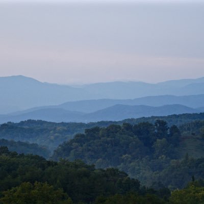 philwesto's profile picture. Telecare, TEC, Technology, and chickens!