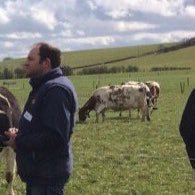 AHDB dairy knowledge exchange manager