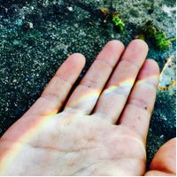 Ana Perugorria (@aperugorria) 's Twitter Profile