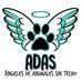 A.D.A.S (Angeles de animales sin techo) somos un grupito de amigas que ama a los animales...