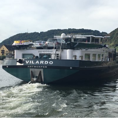 vilardoke's profile picture. 