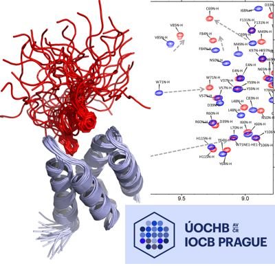 Biomolecular NMR  at IOCB Prague