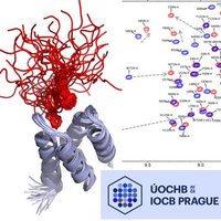 IOCBioNMR (@iocbionmr) 's Twitter Profile