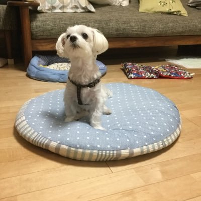 simayamin's profile picture. 