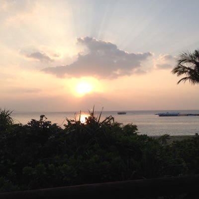 ponpokorin88888's profile picture. 情報収集専用。