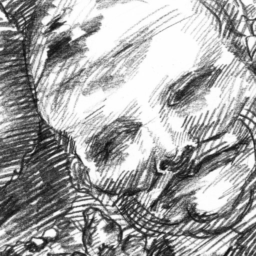 trさんのプロフィール画像