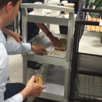 FT Cake Trolley (@ftcaketrolley) Twitter profile photo