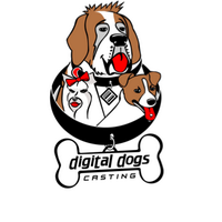 Digital Dogs Casting (@digidogs) 's Twitter Profile