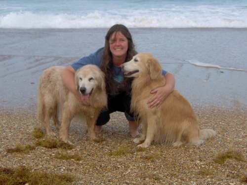 TherapyDogsRock Profile Picture