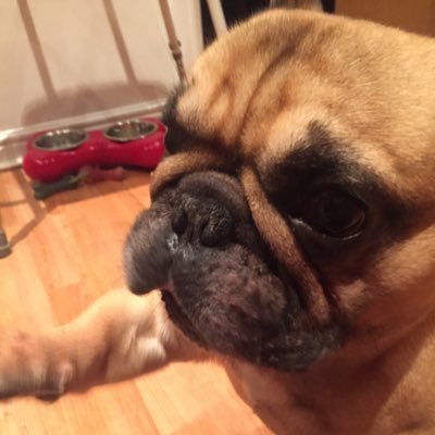 alfie_b_2007's profile picture. 