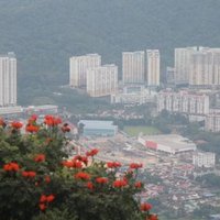 Nm (@ntfk123) 's Twitter Profile