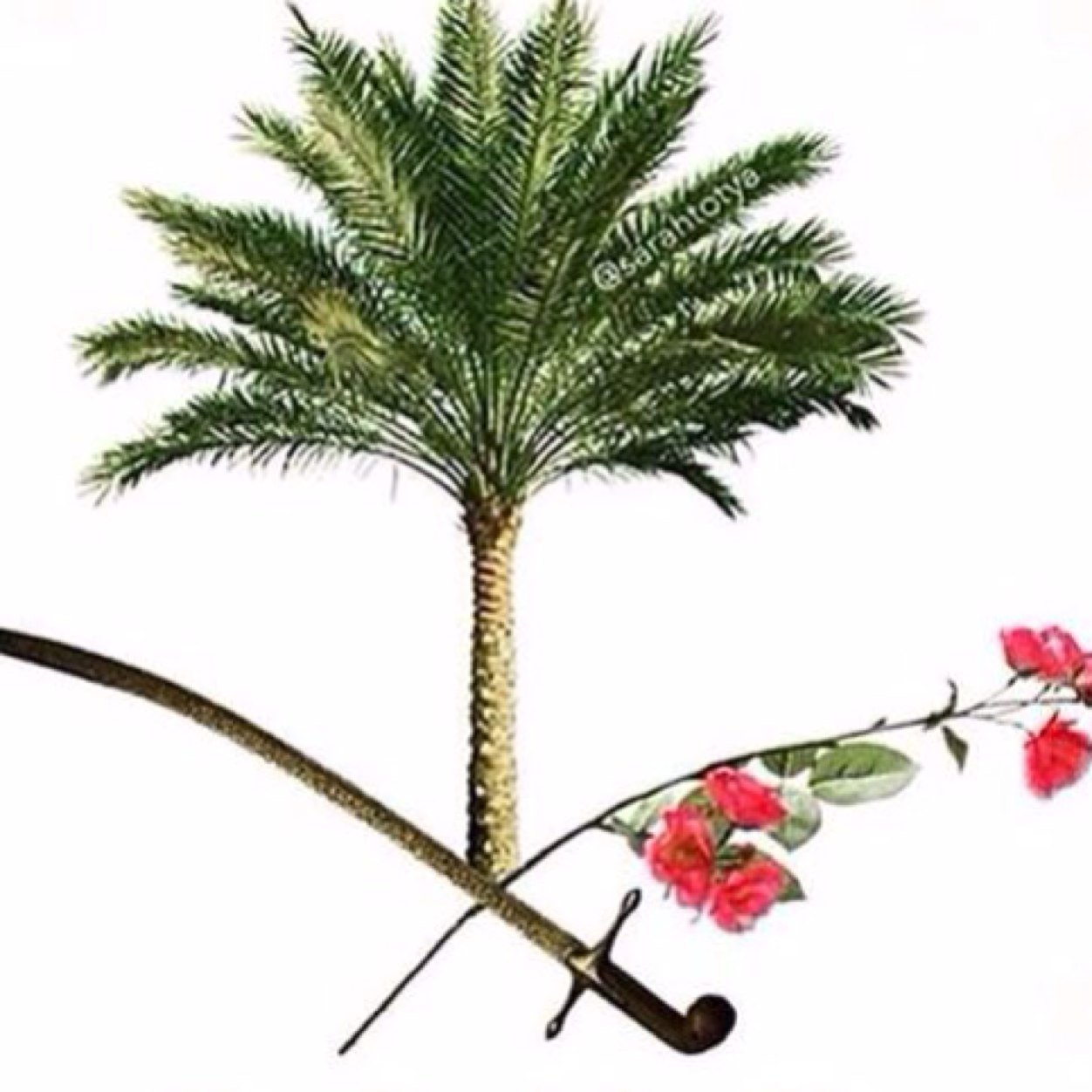 leloo222's profile picture. 