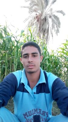 الأخبار