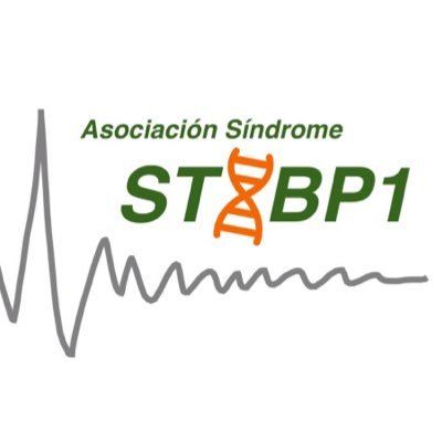 Asociación Síndrome STXBP1. La mutación en este gen cursa con retraso cognitivo y motor, y suele presentar encefalopatía epiléptica. #ApoyoSintaxina