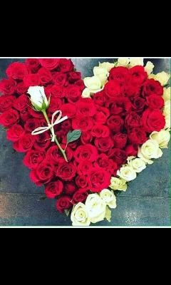 smartfc00006's profile picture. 