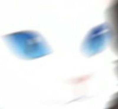 Meow.. || Shes just a cat. She can't talk. Just a cat.