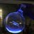 porco_lab's profile image