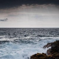 Adrian B (@abshire15) 's Twitter Profile