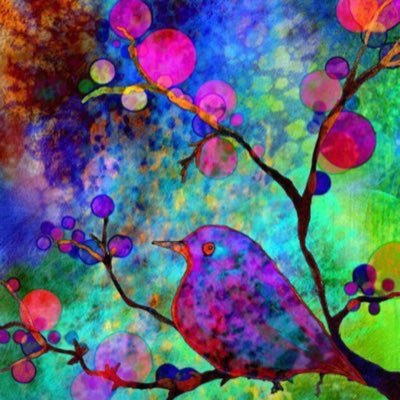 KimOvadia's profile picture. 