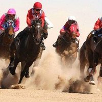 Moulamein Races (@moulameinraces) 's Twitter Profile Photo Moulamein Races (@moulameinraces) 's Twitter Profile Photo