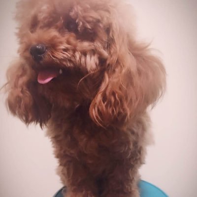 42PCecJyP199sVj's profile picture. DIY 與家居 教養 時尚與美容 旅遊 生活方式 生活時尚名人 非營利組織 娛樂 新聞 藝術與文化 政府與政治 攝影 政府與政治 人道主義者