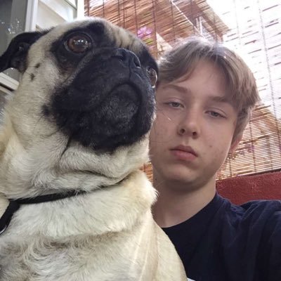 xanchop's profile picture. Meme account