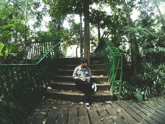 taufik12320's profile picture.