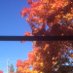 Tweedsmuir Library (@tweedslibrary) Twitter profile photo Tweedsmuir Library (@tweedslibrary) Twitter profile photo