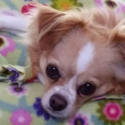 Profile Picture of Lora Henderson (@loraehenderson1) on Twitter
