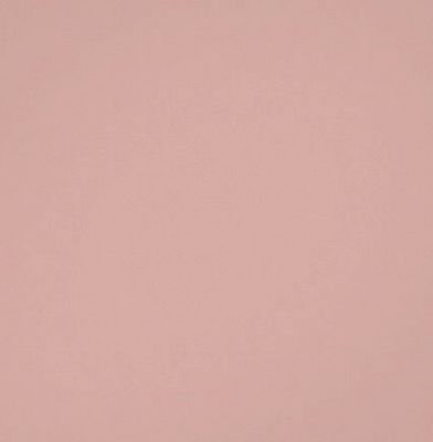 funyybuny's profile picture. 